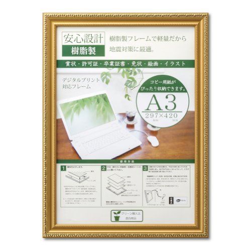 A3_樹脂製(箱入) 大仙 額縁 OA額 金消 R A3 樹脂製 箱入 J045C6300