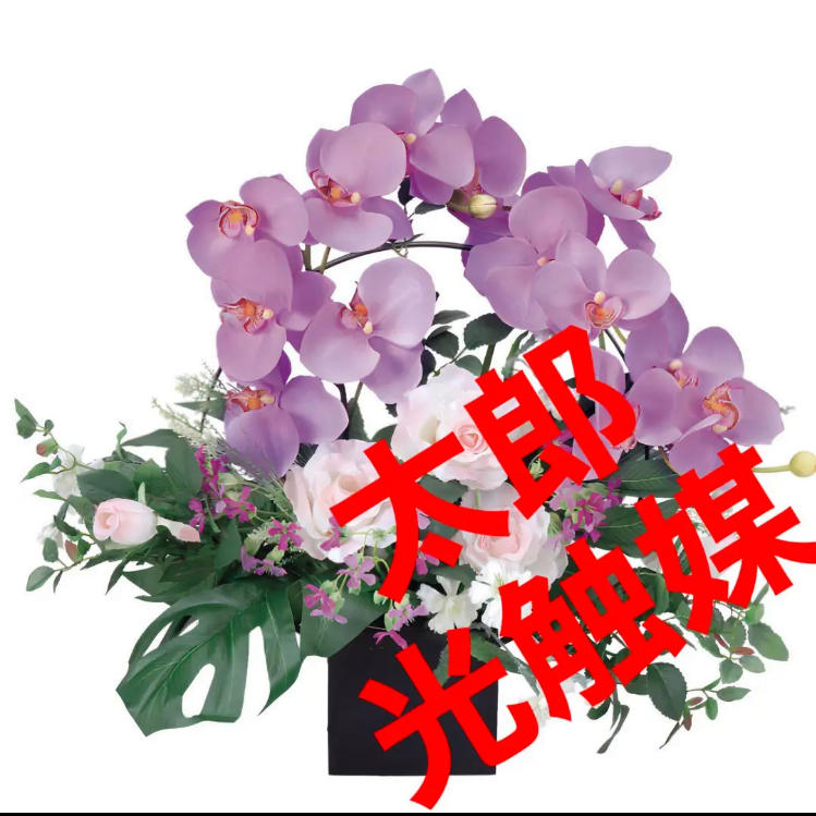 光触媒 人工観葉植物 ウォールグリーン フェイクグリーン 白樺 光触媒 人工観葉植物 ウォールグリーン フェイクグリーン 白樺