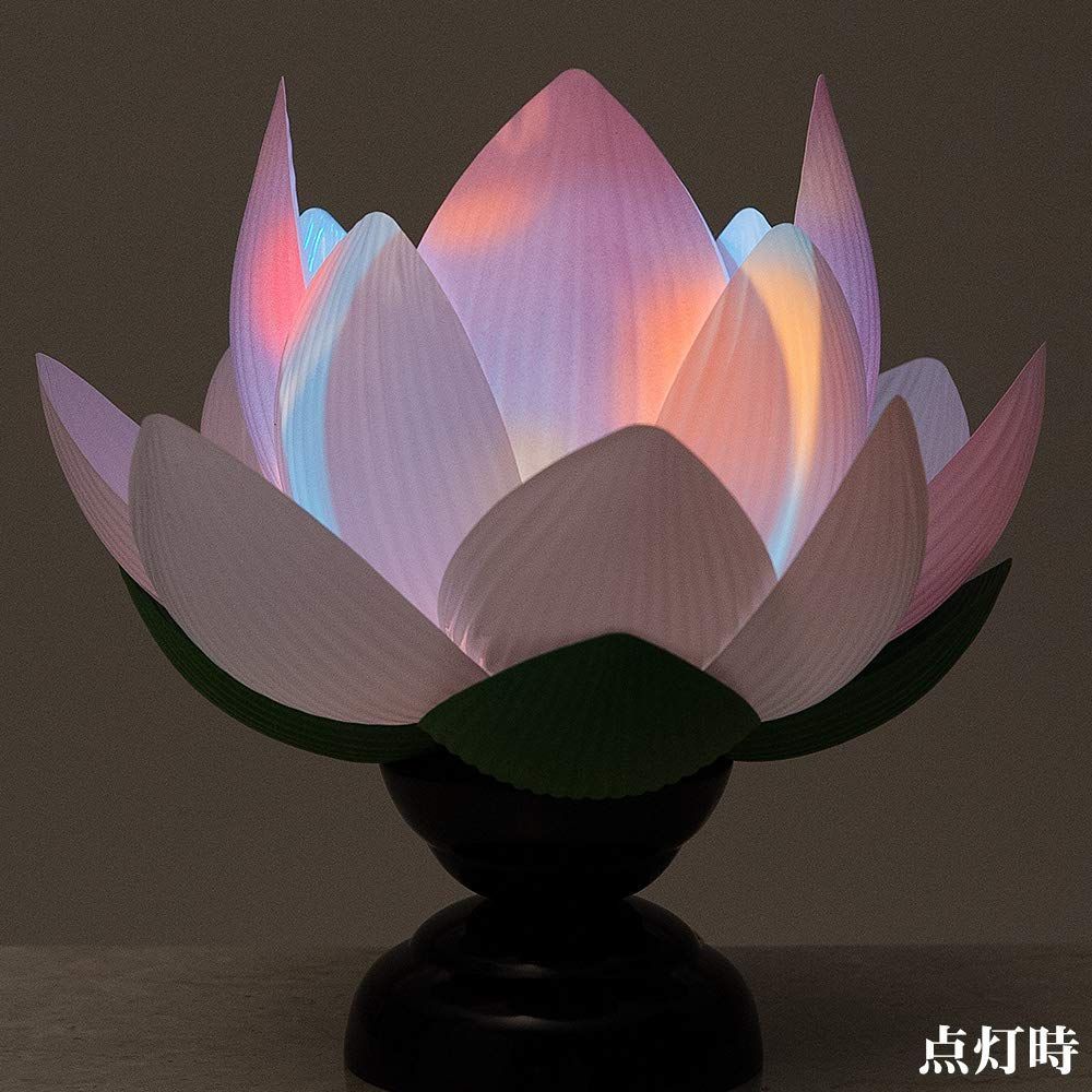 常花蓮華