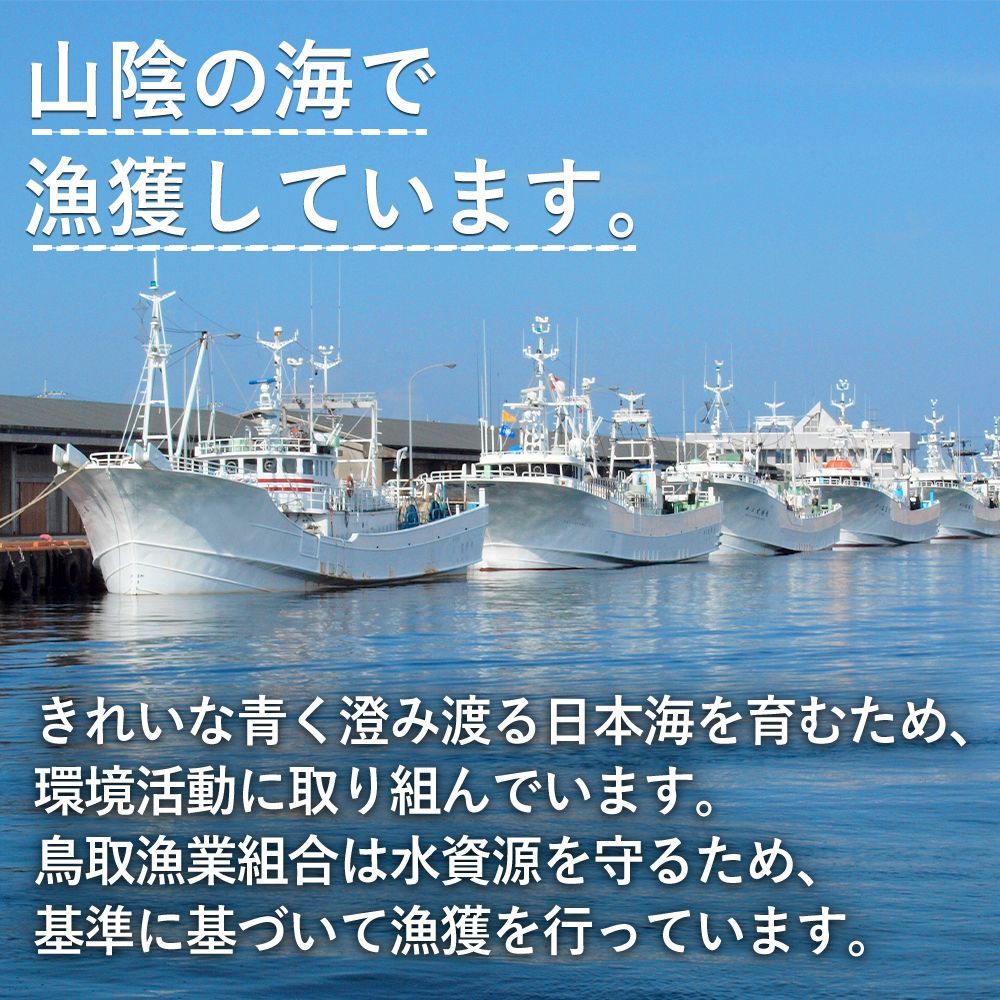 セコガニ 1kgセット福袋