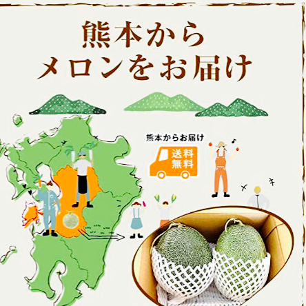 熊本 産地直送 肥後グリーン メロン 青肉 2玉 約3㎏ 特A優品 (001) 熊本県産  フルーツ 果物 ギフト プレゼント用【バイヤー推奨商品】発送予定日 ６月初旬