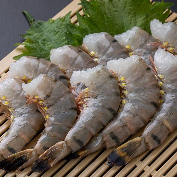 その他 ADIZERO SL 26.0cm 正規取扱店 SHAKA (シャカ) SK-101 HIKER ストラップ グルカサンダル