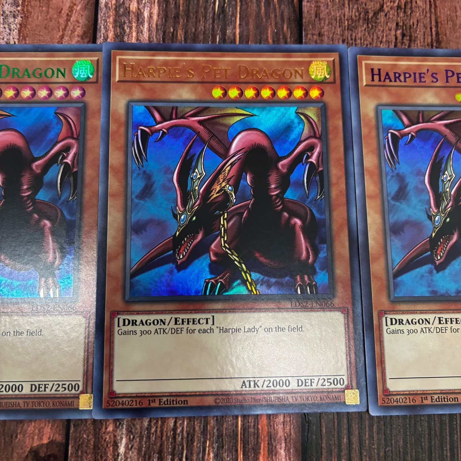 遊戯王 英語版 ハーピィズペット竜 カラフルウルトラレア 3枚