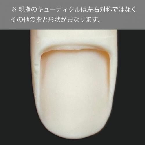 JNEC
