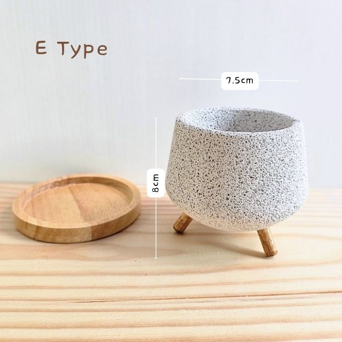 Mサイズ〚 植木鉢 + 木製受け皿付き 〛軽い鉢 塊根植物 コーデックス