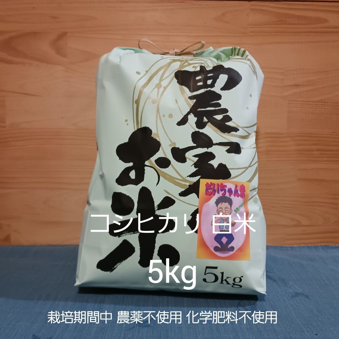 令和7年産 白米 コシヒカリ 5kg 農薬不使用 化学肥料不使用 れんげ米