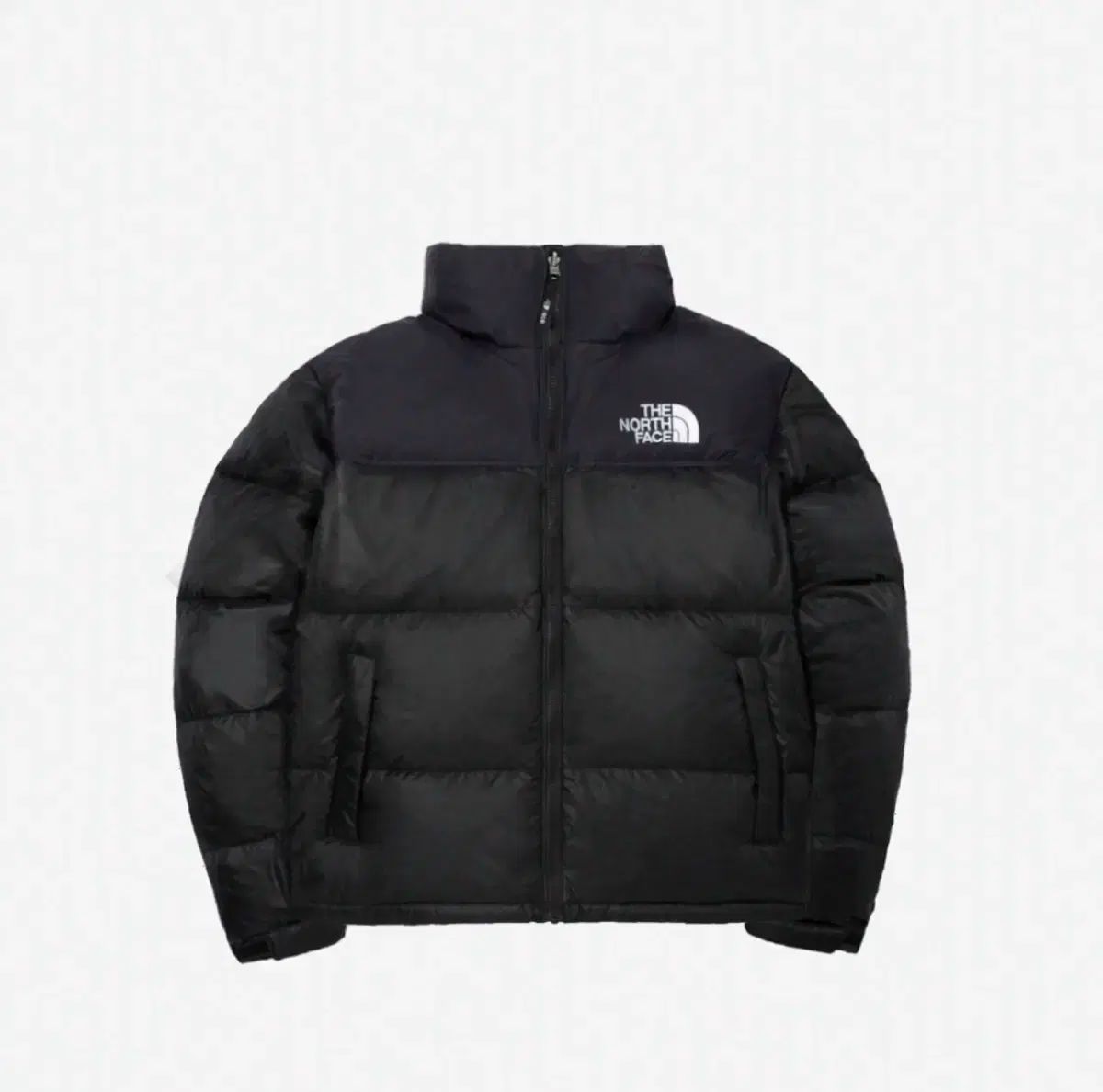 【雷市場（ポンジャン）商品韓国直送】 THE NORTH FACE(ザノースフェイス) 1996 Ecco(エコー) Nuptse(ヌプシ) ブラック ( XL ）