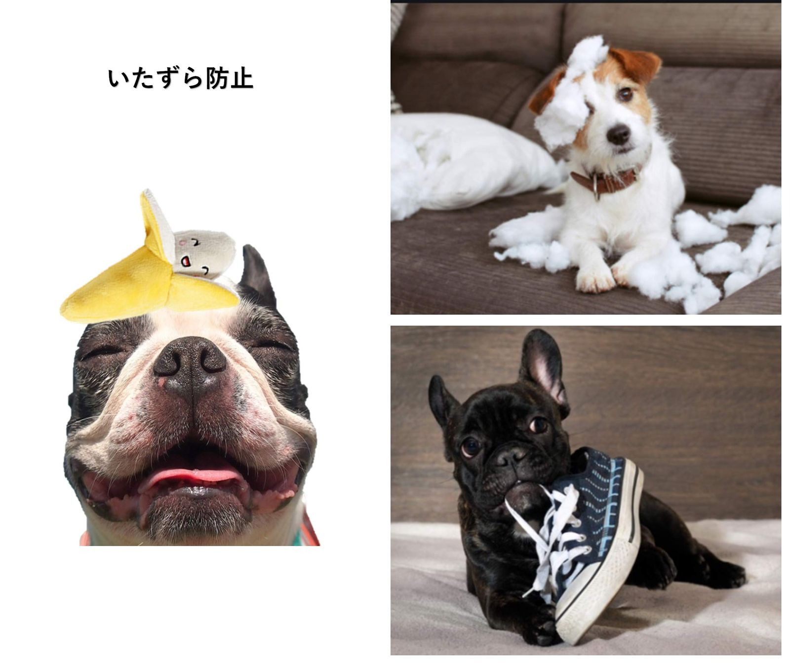 特価商品 犬おもちゃ Bluestarz13923 音が鳴る ぬいぐるみ（10点セット