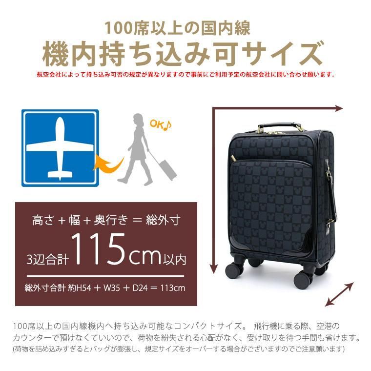 ソフトキャリーバッグ ミッキーマウス