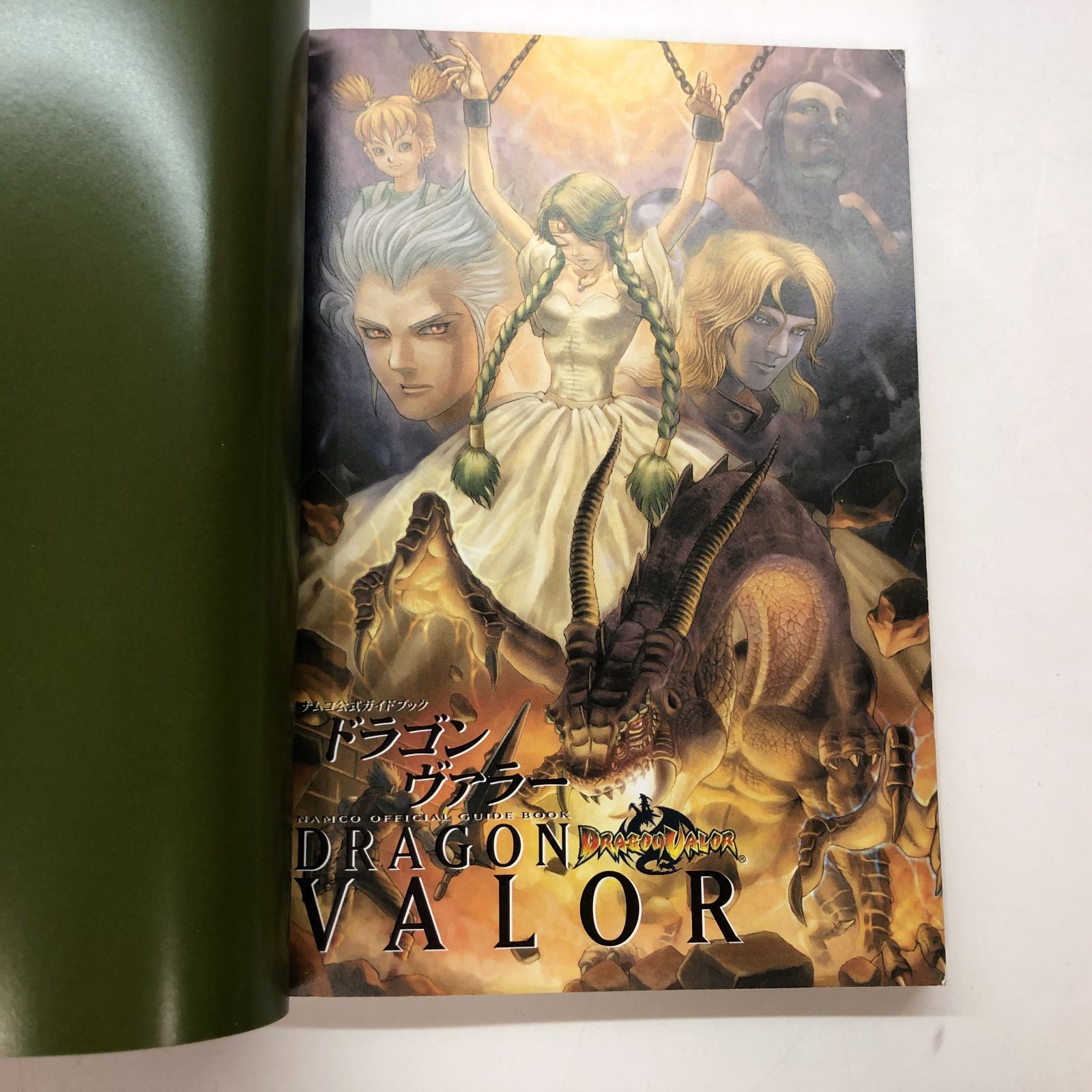 ドラゴンヴァラーオフィシャルガイドブック ドラゴンヴァラーオフィシャルガイドブック 新品本・書籍