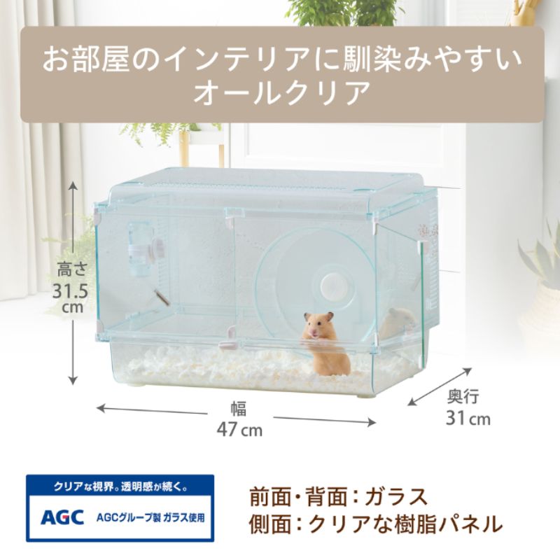 ハムスター