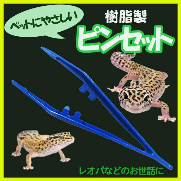 ピンセット 爬虫類 ペット 餌やり エサ レオパ トカゲ 蠍 クモ
