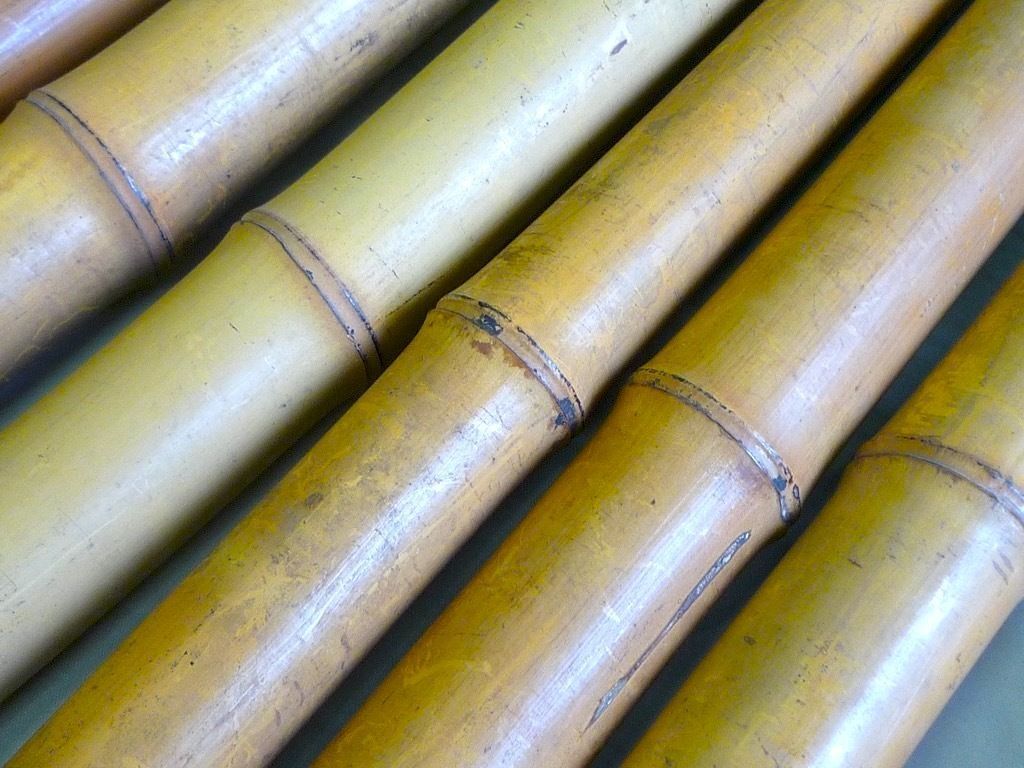 製管師保管品 尺八 材料 竹材 未加工 加工前 7本まとめて 約91～100㎝ 根付 和楽器 管楽器 竹 バンブー_6A(検:琴古流都山流楽器真竹根  - メルカリ