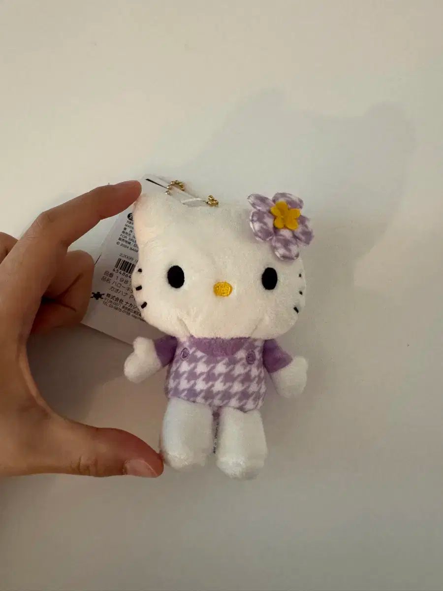 アガベ 赤雷 雷神×フェロックス ハイブリッド 本物 フェロックス×雷神 '赤雷'】 ハイブリッド, image size:900x1200