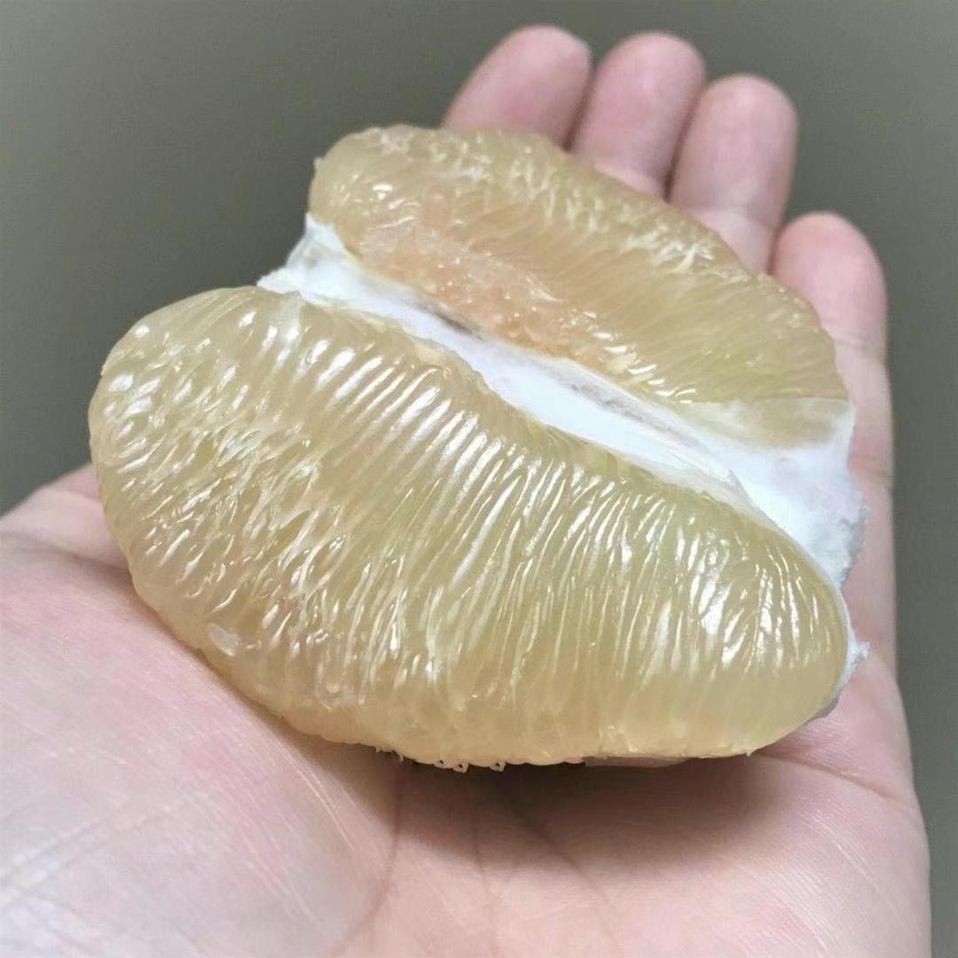 訳あり 加工用 黒点あり 】 宮崎 完熟 マンゴー 果物 5玉 1.8k ※理解