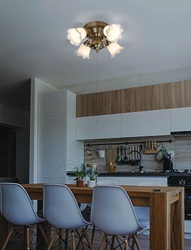 天井照明 LED電球付属