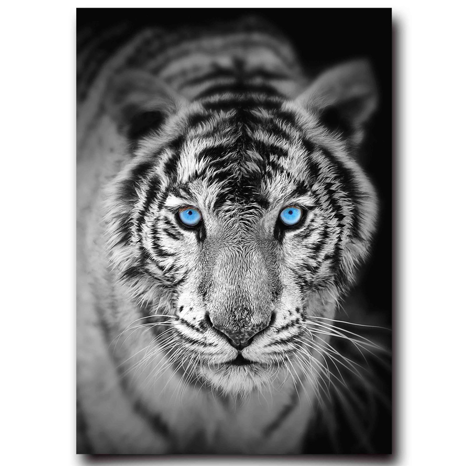 虎 アートポスター 北欧アート タイガー