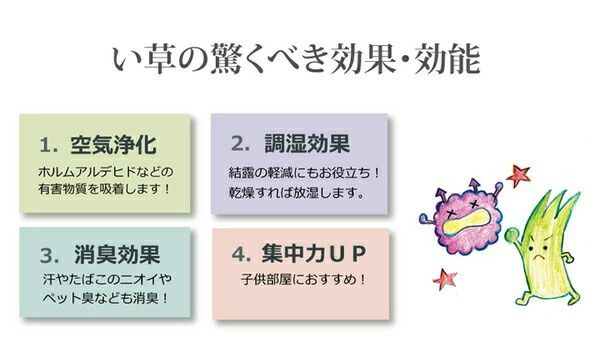 い草 上敷き/ラグマット 日本製 抗菌防臭 耐久性抜群 熊本県八代産イ草使用 〔リビング〕 い草 上敷き&frasl;ラグマット 双目織 約176×176cm 〔江戸 アジアン