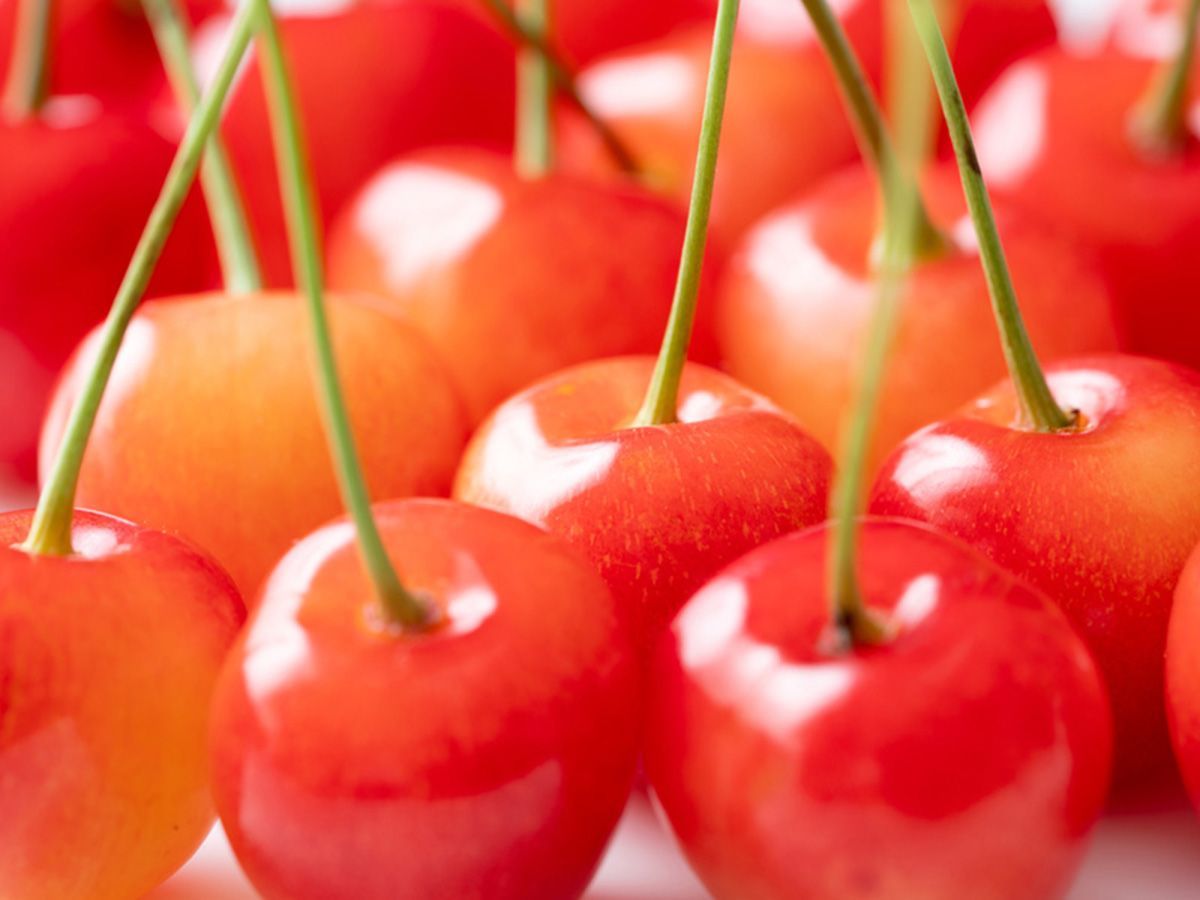 Rainier Cherries