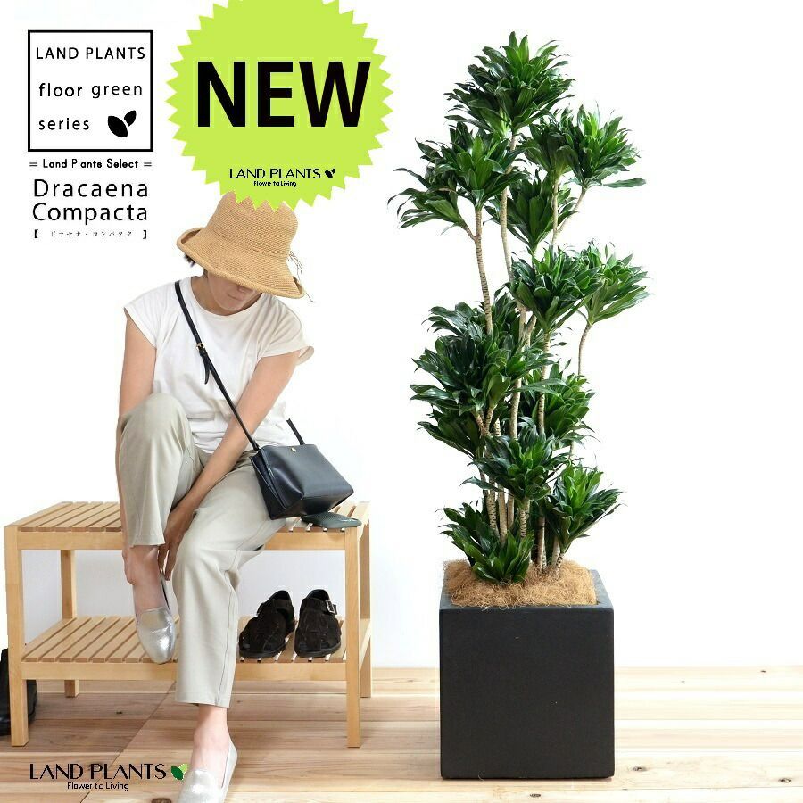 レアWilly Guhl planter pot プランターポット レア Willy Guhl