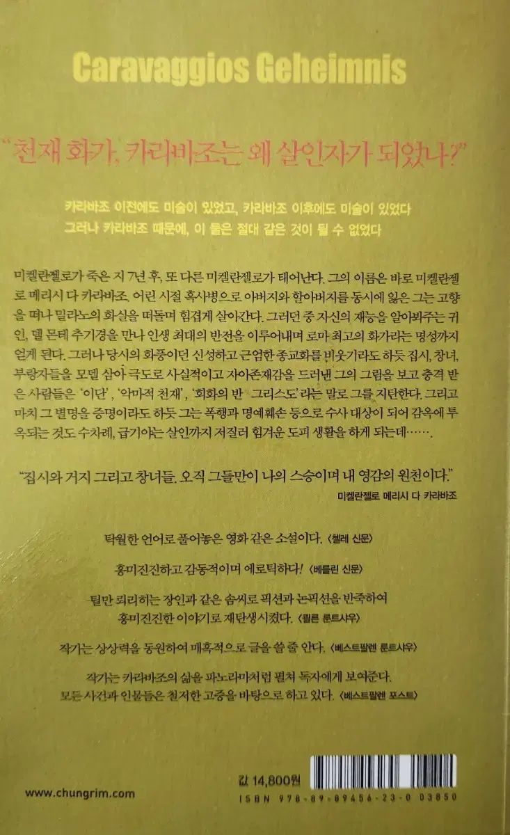 カラヴァッジョの 覆面 小説です