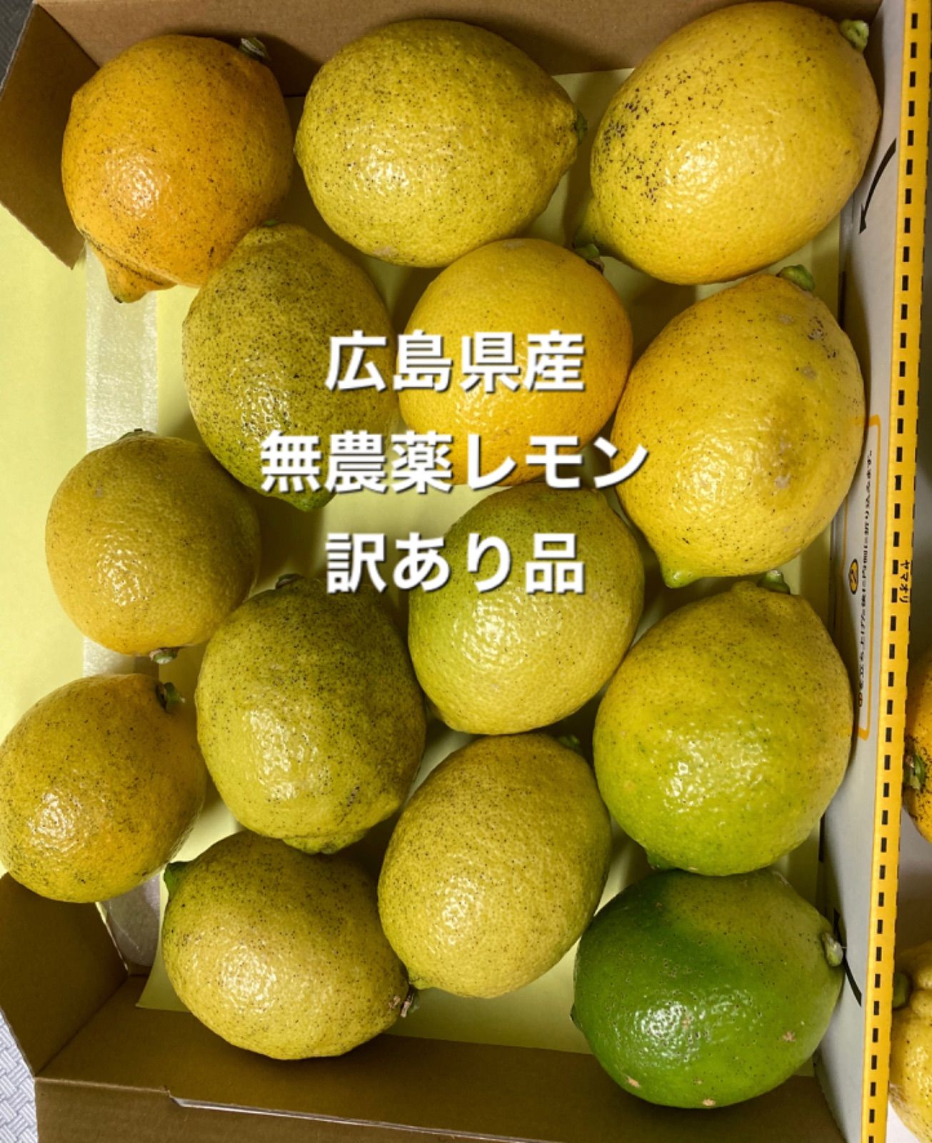 訳あり][農薬不使用]広島県産完熟レモン2kg - 果物