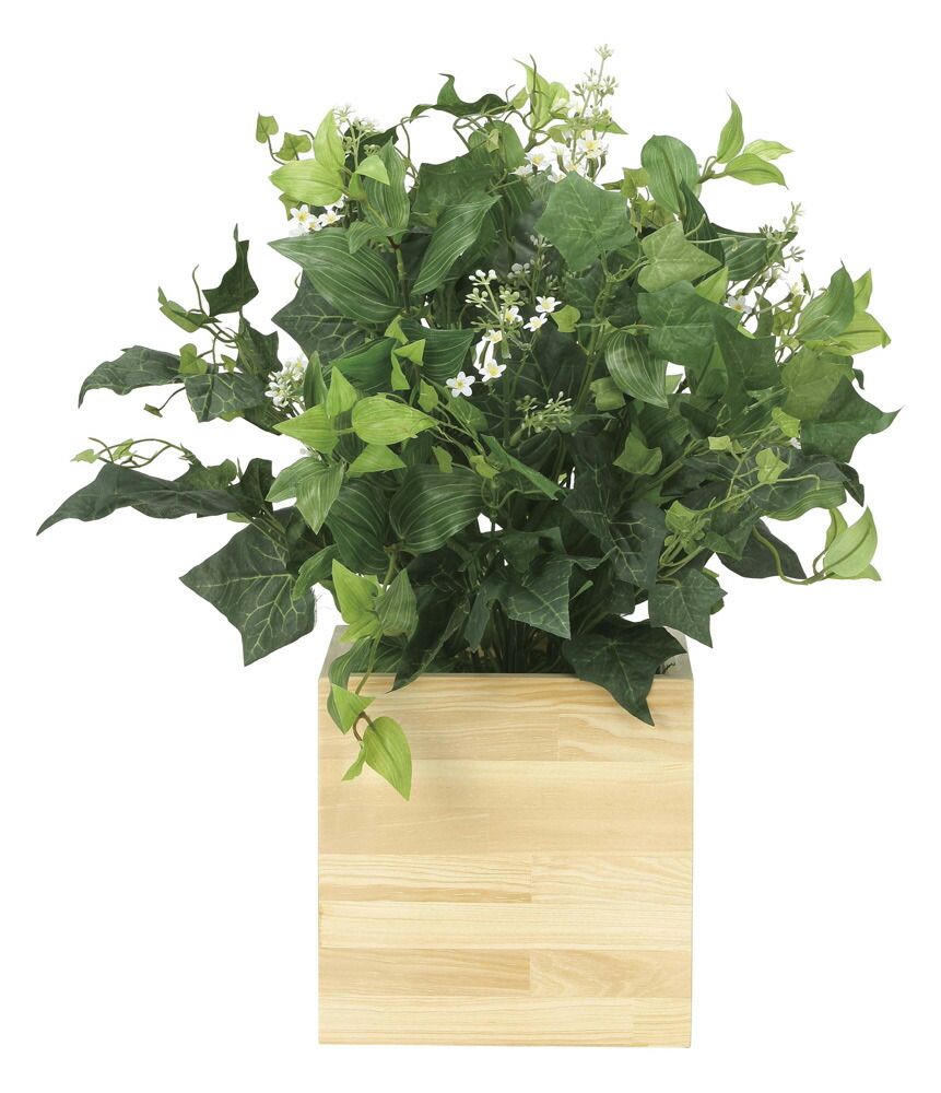 光触媒観葉植物 ボックスウッドK 〔フロアタイプ〕 インテリア