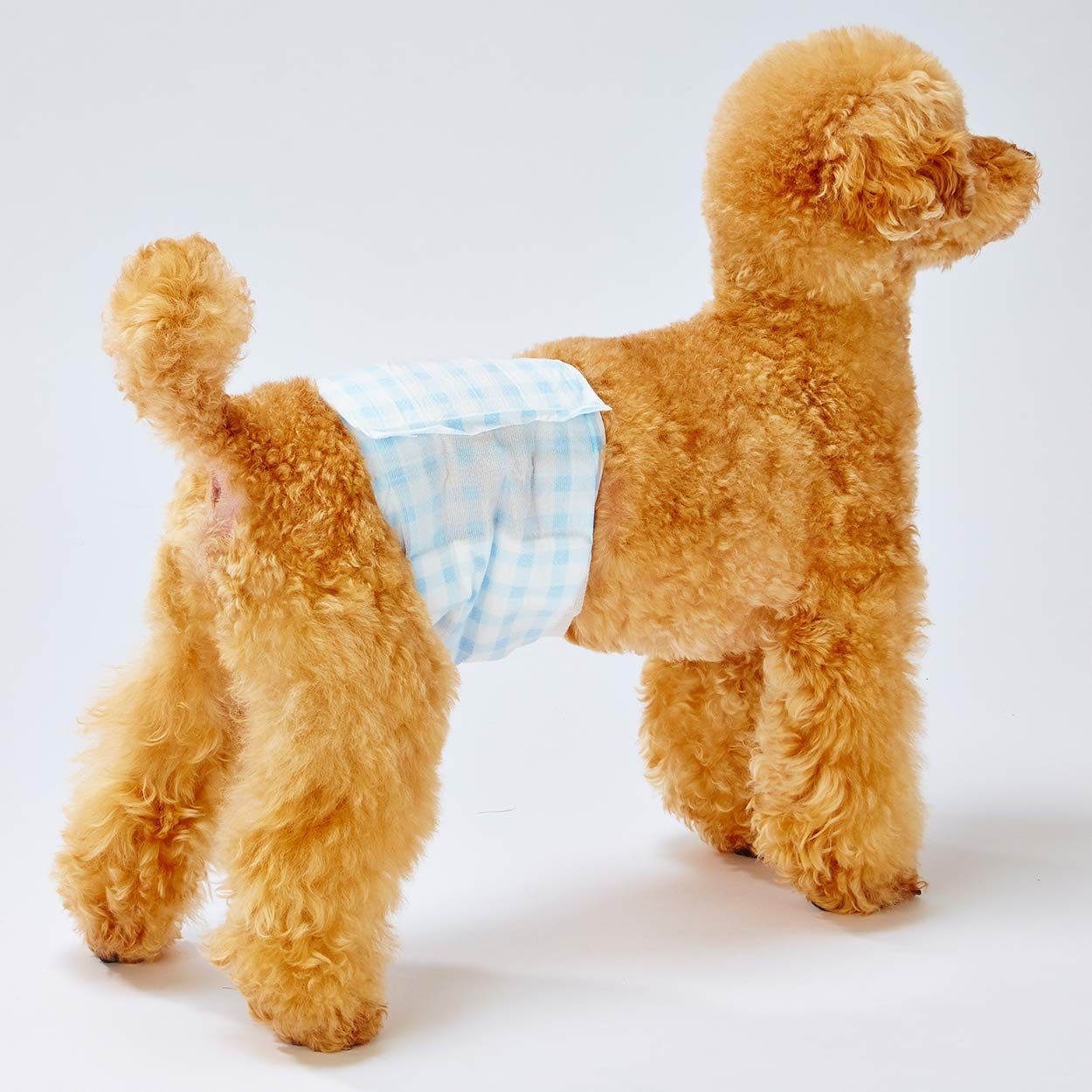 新着商品 ペティオ Petio Petzone ペットゾーン エチケットウェア男の子用 SSサイズ 48枚入×4個 ケース販売