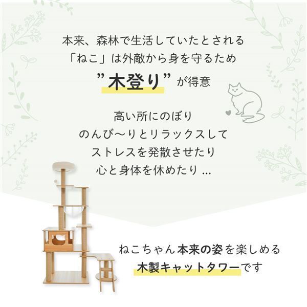 木登りアスレチックタワー