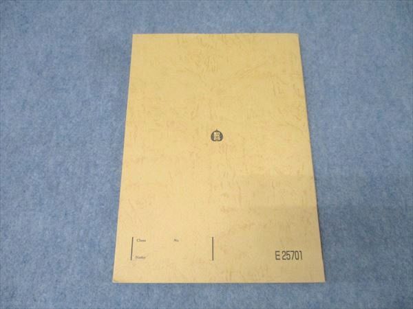 駿台 化学特講(総合実力完成) テキスト【書き込み無し】 2024