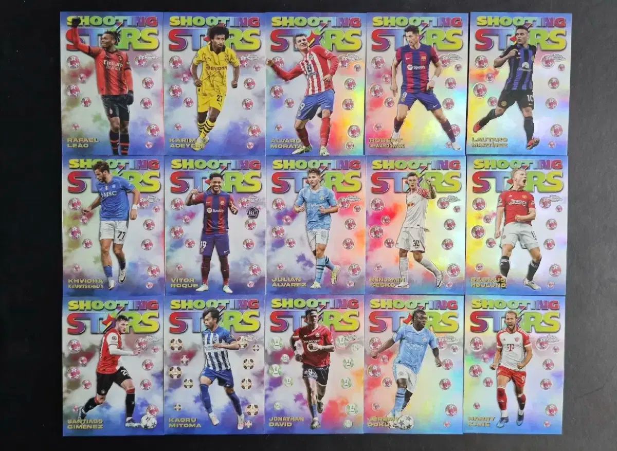 Panini パニーニ サッカーカード フルセット