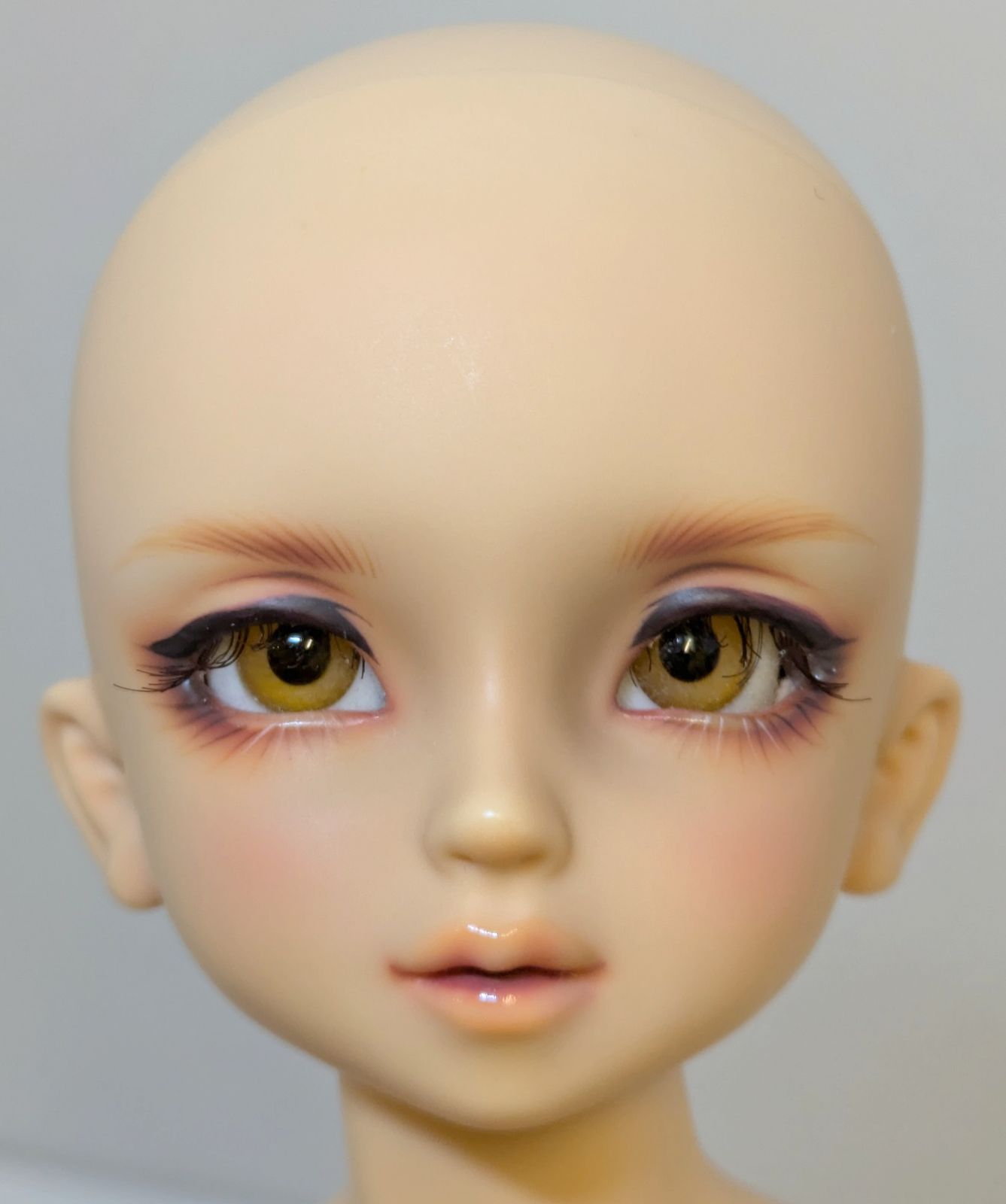 ボークス コーディネートモデル SDM 46番 男の子 タン肌 【公式通販】