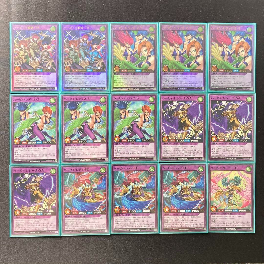 環境構築【ハーピィデッキ】 エクストラ＆二重スリーブセット 環境構築【ハーピィデッキ】 エクストラ＆二重スリーブセット