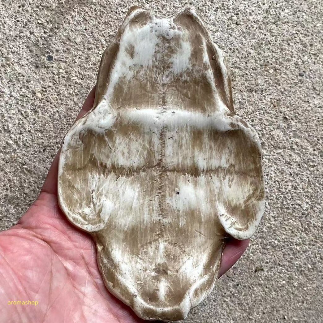 甲骨文 甲骨文字 中国古代文字 亀甲 彫刻 工芸品 樹脂製 腿骨