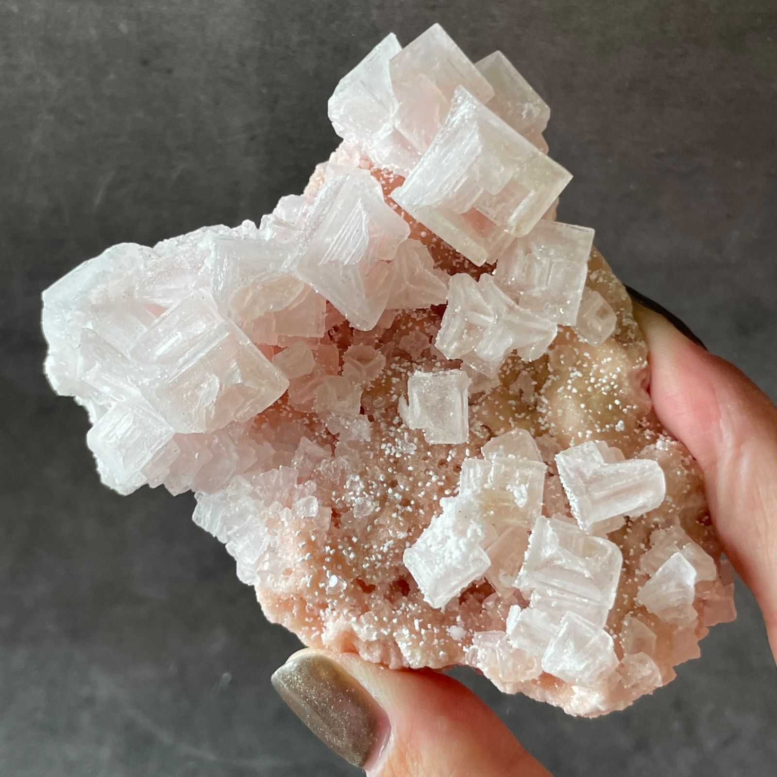フォロー割あり】カリフォルニア産|pink Halite ピンクハライト|岩塩