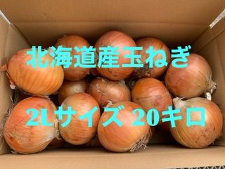 北海道産　玉ねぎ　正規品2L  ２０キロ
