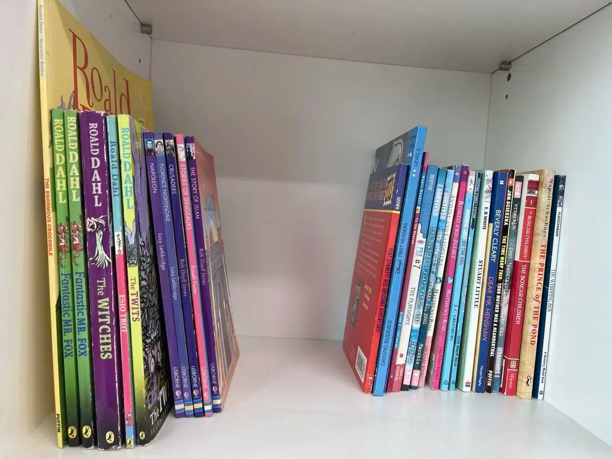 【数量限定，お買い得】 英語 願書 （ roald dahl アースボーン ゼロ リーディング など その他