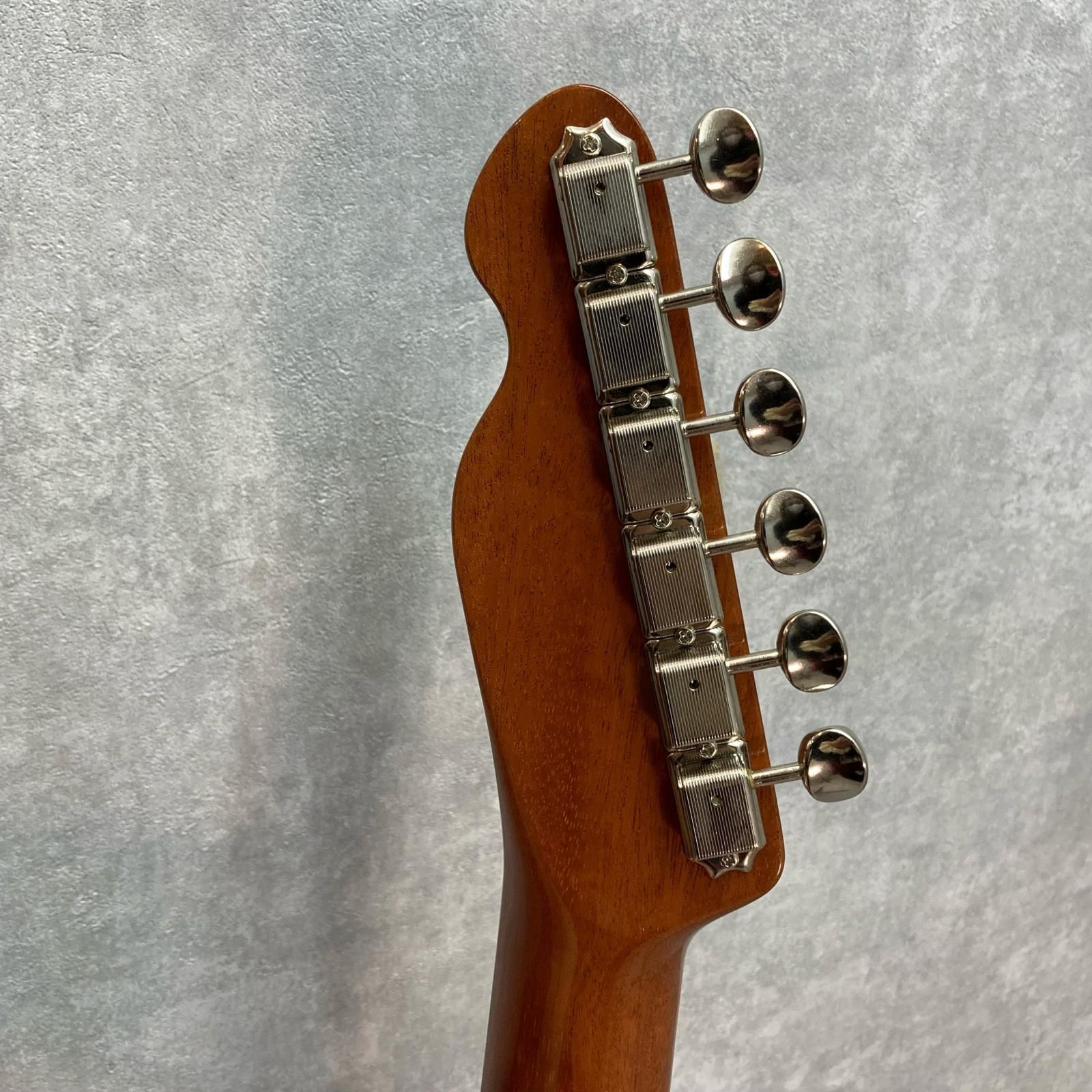 中古　ポリポット　TOKAI 楽天市場】10000個 TOエコポリポット 13.5cm 黒 丸型タイプ TOKAI 育苗