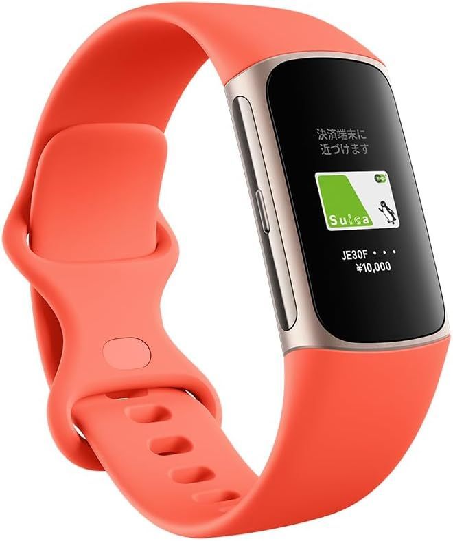 FITBIT GA05184-AP
