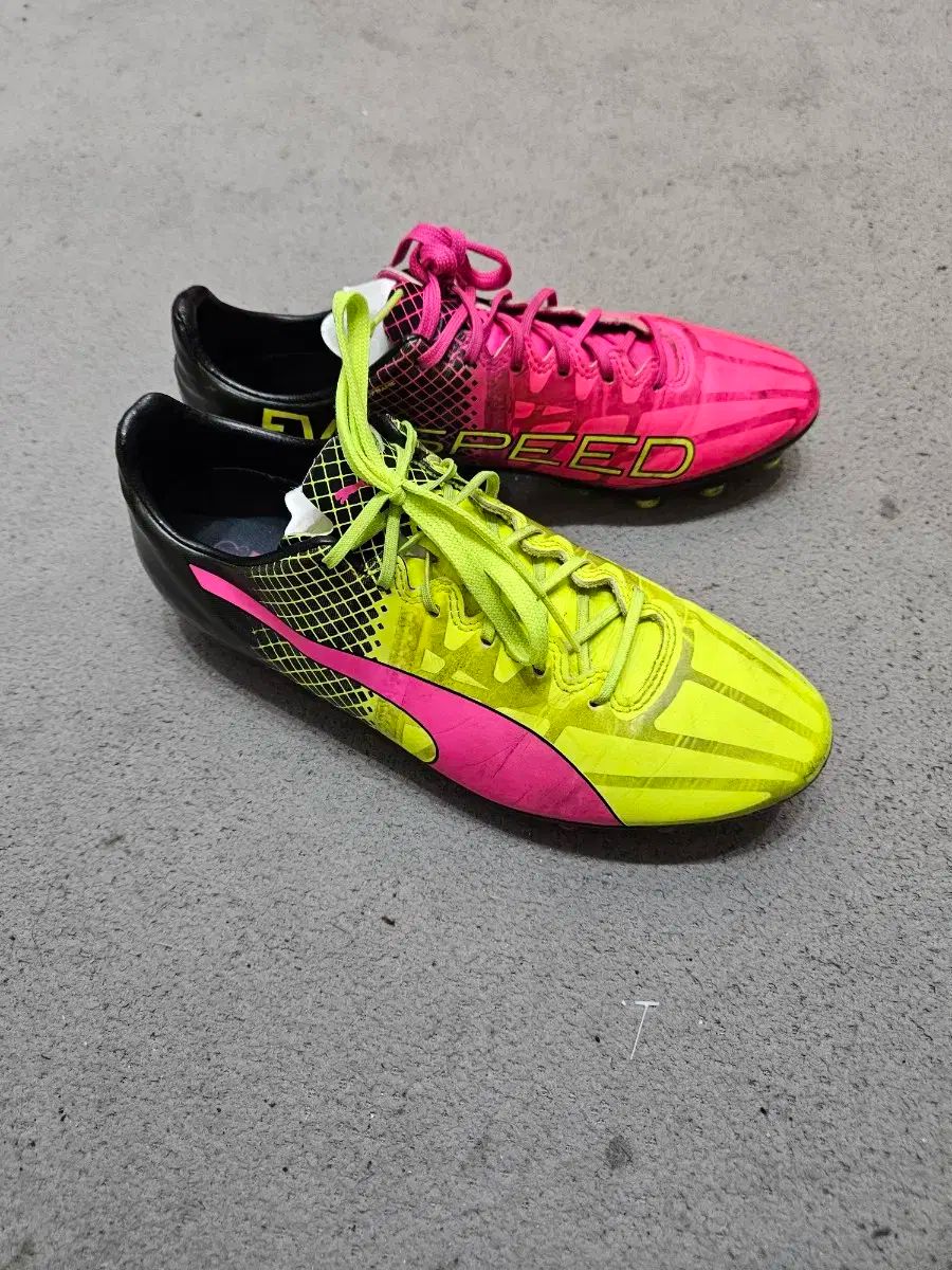 【雷市場（ポンジャン）商品韓国直送】PUMA(プーマ) サッカーシューズ 250 サイズ （ 2749 ）