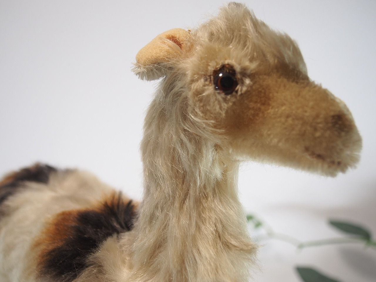 Steiff シュタイフ　ラマ　リャマ　ぬいぐるみ テディベア　ヴィンテージ Steiff - ヴィンテージ シュタイフ ラマの通販 by ヒルストン's