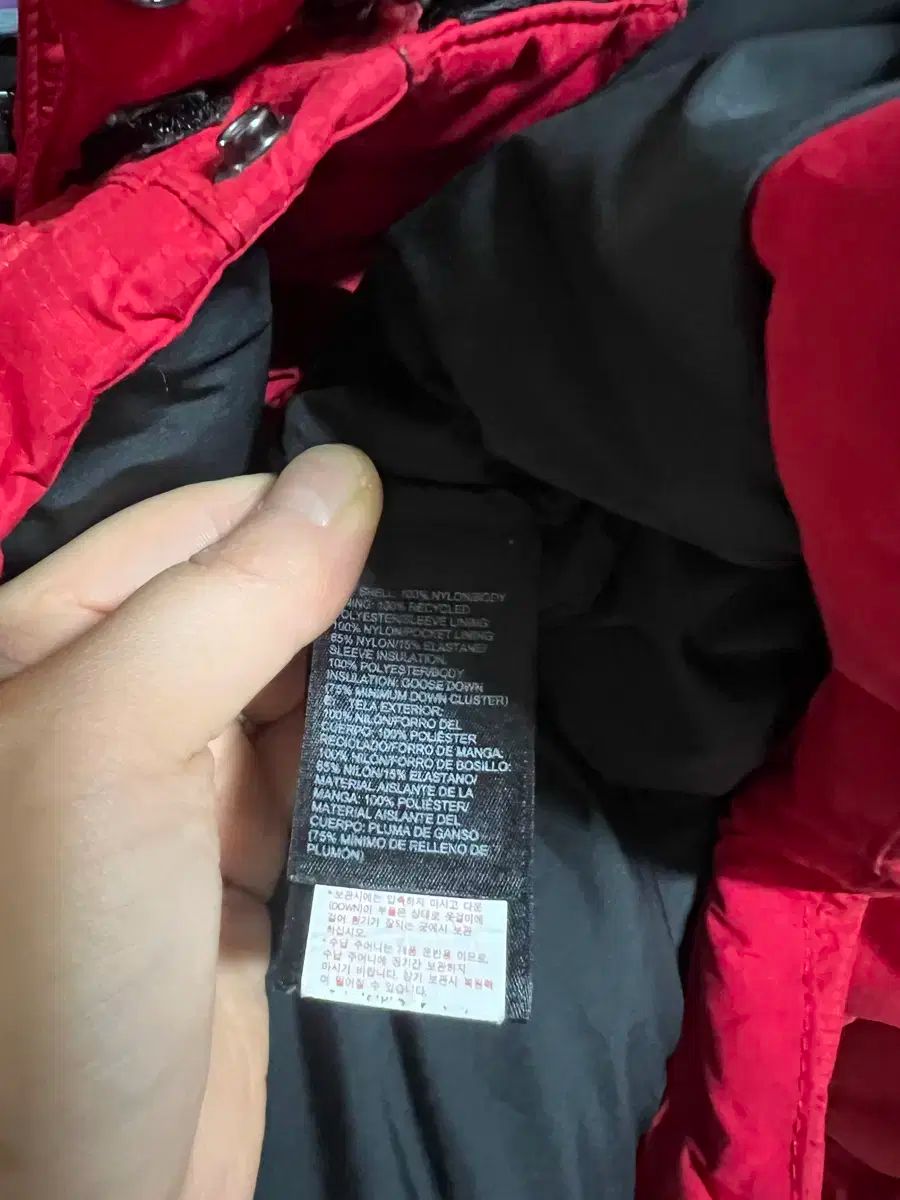 NORTH FACE