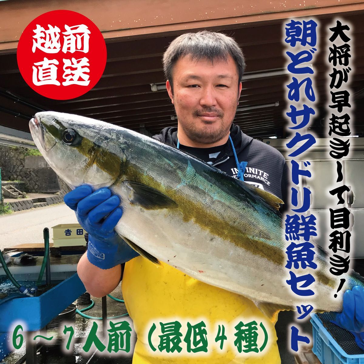 大将が目利き！越前産定置網朝どれ鮮魚サクドリ  6-7人前セット