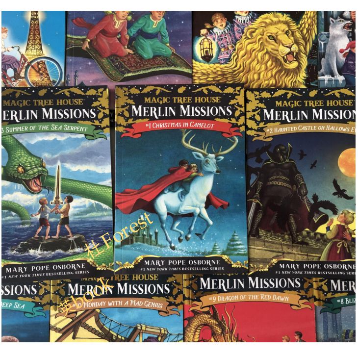 Magic Tree House シリーズ2 絵本27冊 全冊音源付 - メルカリ