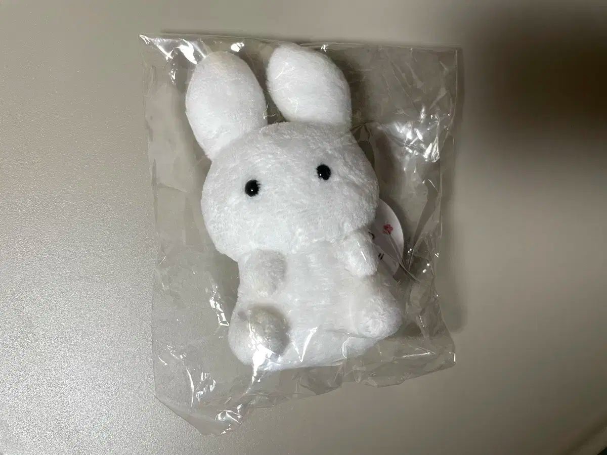 【雷市場（ポンジャン）商品韓国直送】 須藤春菜 うさぎ 未開封