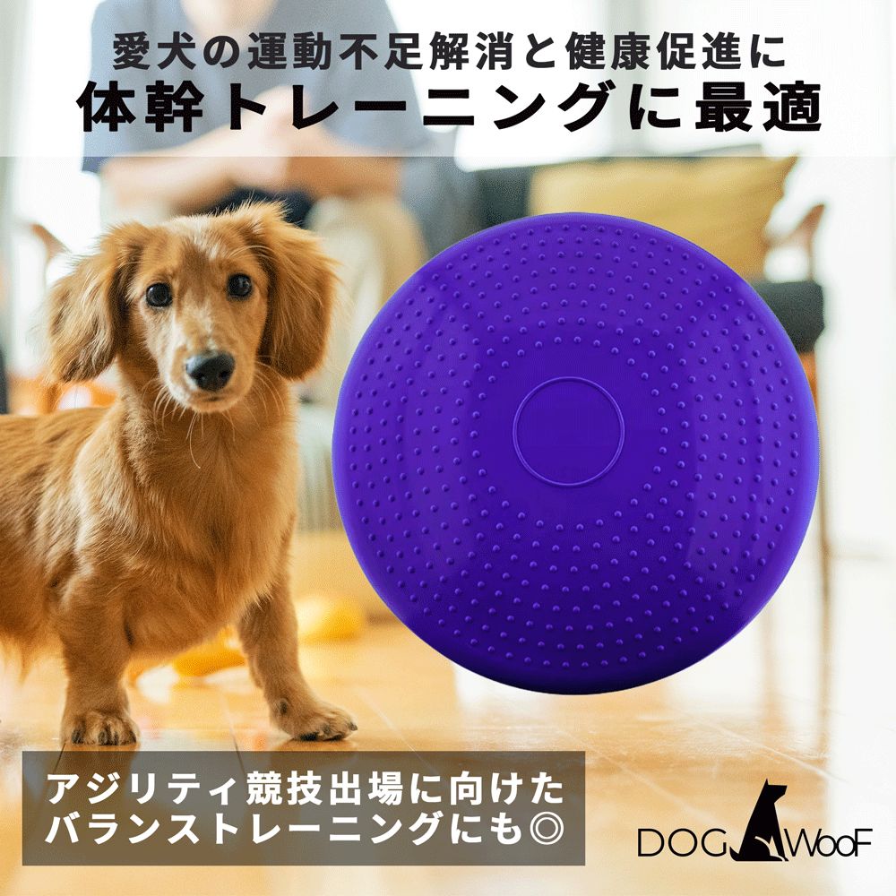 ペット