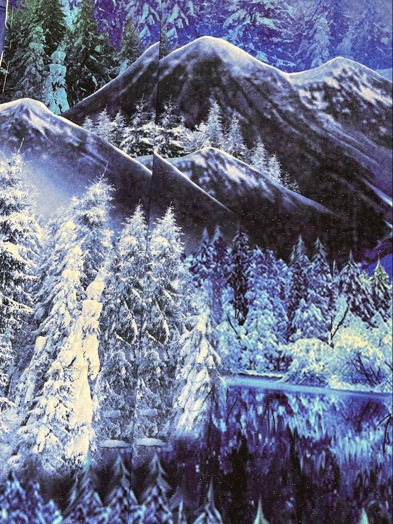 訪問着 未仕立て品 仮絵羽 銀通し オーロラ 正絹 八掛付き 大衆演劇