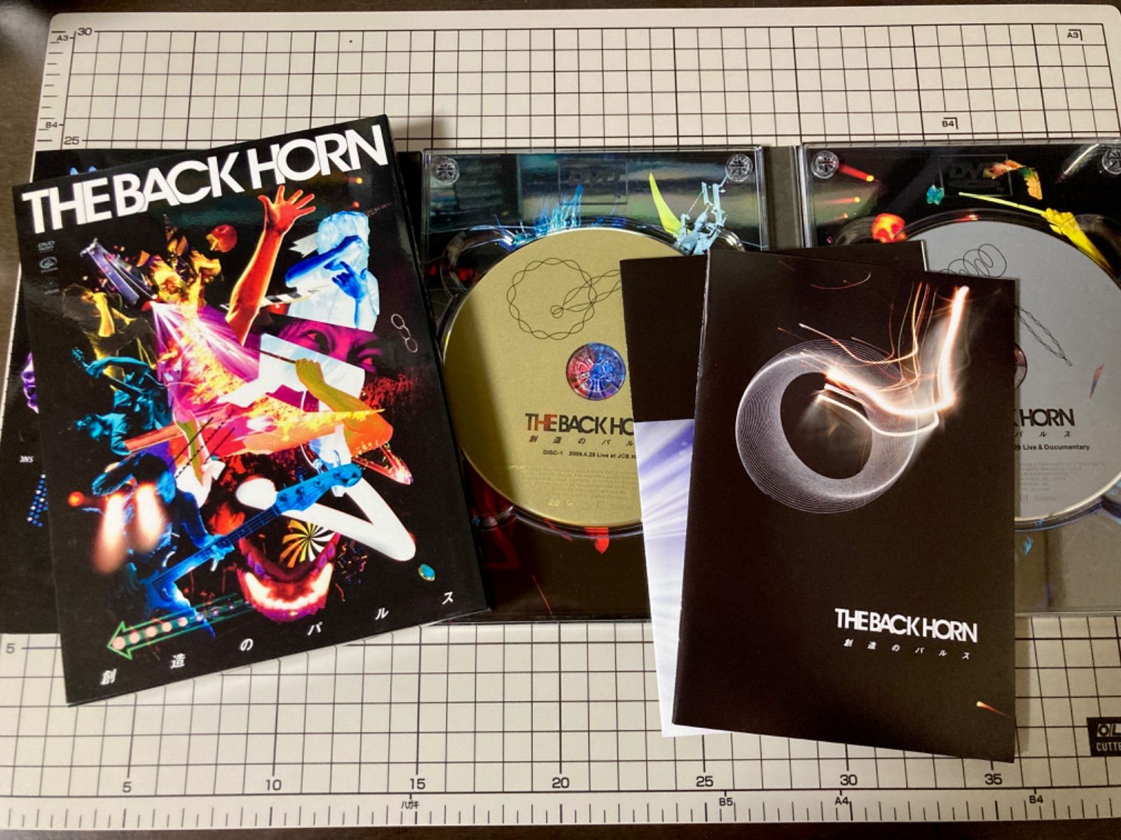 5枚セット】THE BACK HORN DVD ザ・バックホーン - メルカリ