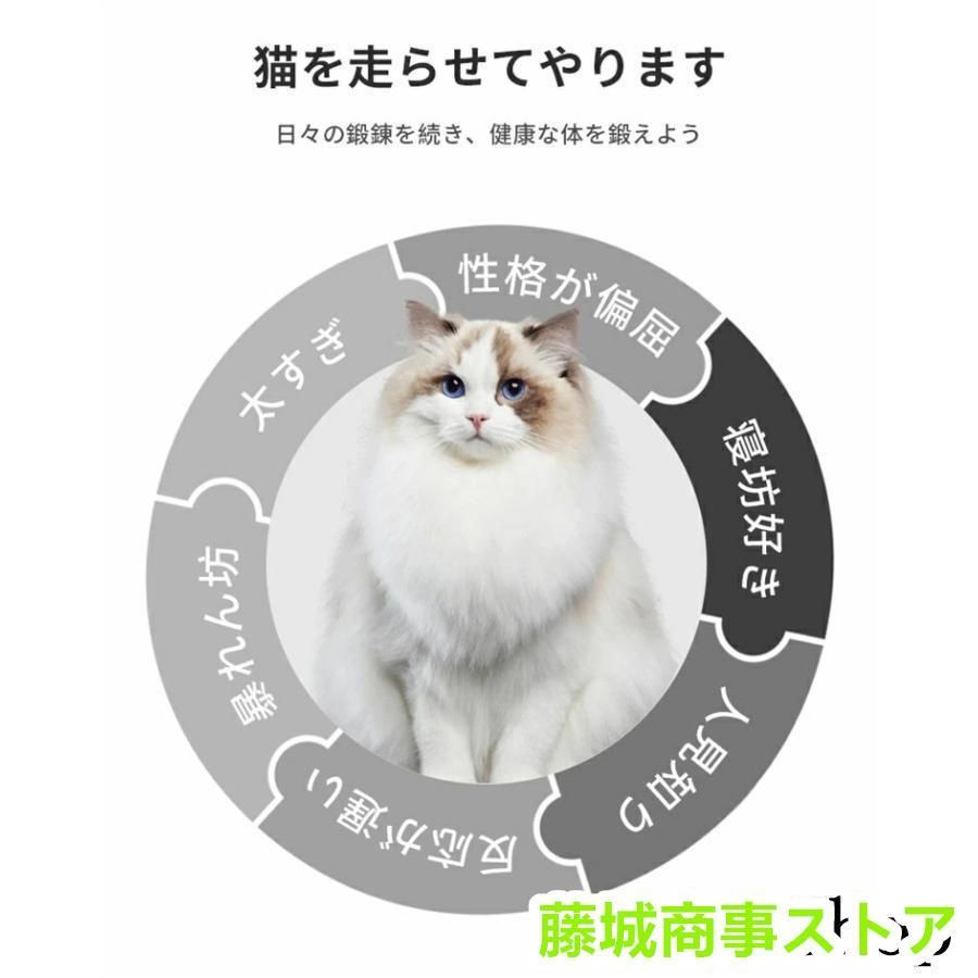 キャット ホイール