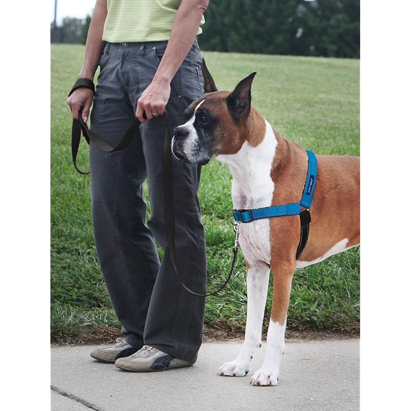 PetSafe